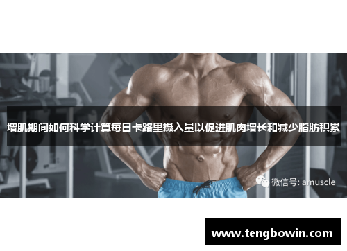 增肌期间如何科学计算每日卡路里摄入量以促进肌肉增长和减少脂肪积累